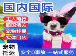 梅州航空物流国际宠物托运 【国